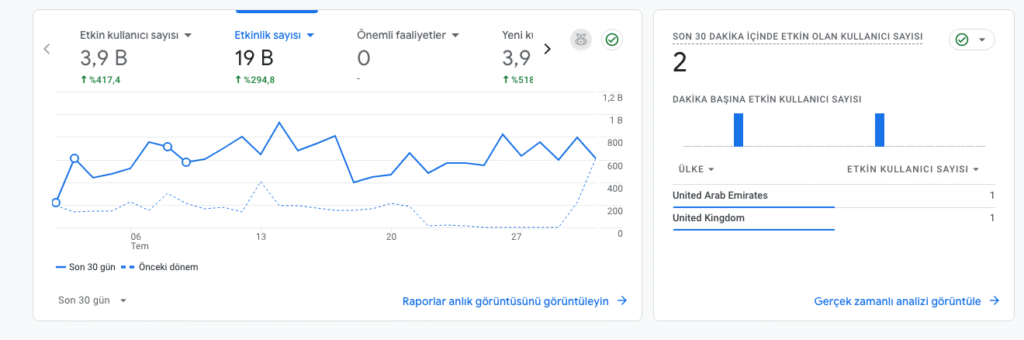 profesyonel-seo-hizmeti